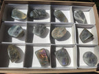 Polished Rare Purple Sunset Flash Labradorite Standing Free Forms x 12 From Madagascar - Toprock Gemstones and Minerals 