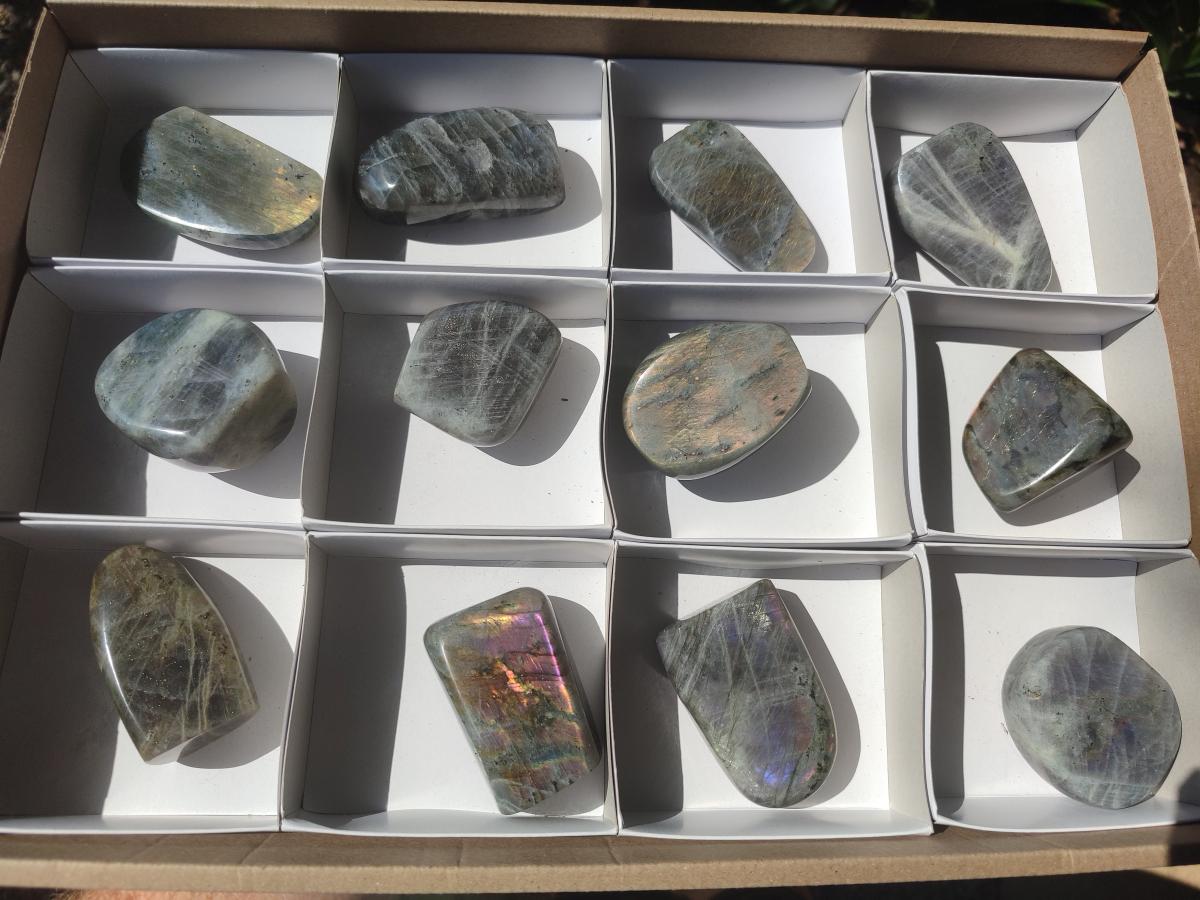 Polished Rare Purple Sunset Flash Labradorite Standing Free Forms x 12 From Madagascar - Toprock Gemstones and Minerals 