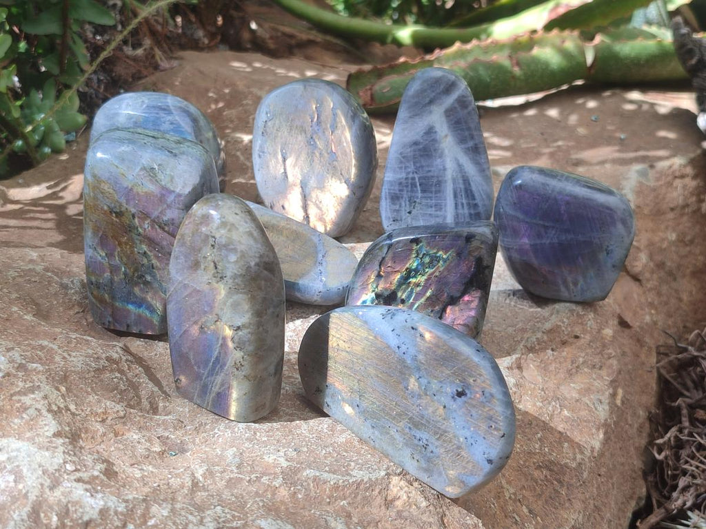 Polished Rare Purple Sunset Flash Labradorite Standing Free Forms x 12 From Madagascar - Toprock Gemstones and Minerals 