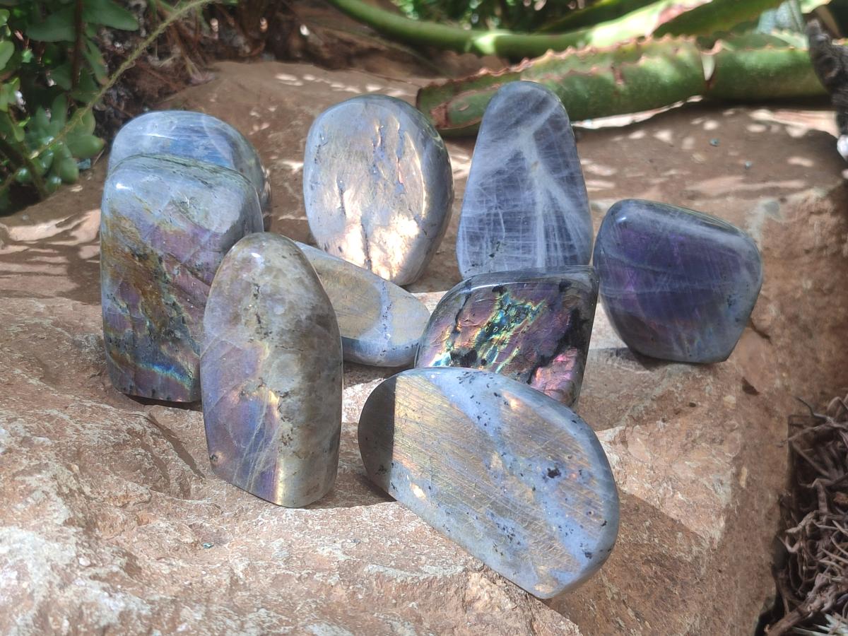Polished Rare Purple Sunset Flash Labradorite Standing Free Forms x 12 From Madagascar - Toprock Gemstones and Minerals 