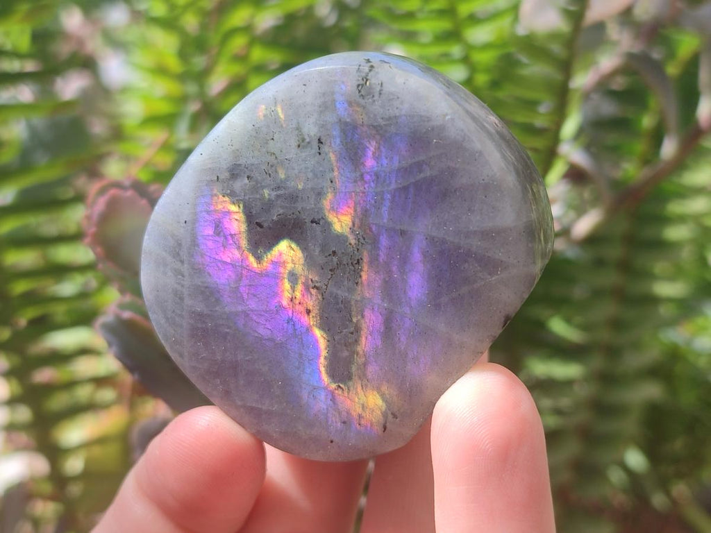Polished Rare Purple Sunset Flash Labradorite Standing Free Forms x 12 From Madagascar - Toprock Gemstones and Minerals 