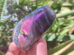 Polished Rare Purple Sunset Flash Labradorite Standing Free Forms x 12 From Madagascar - Toprock Gemstones and Minerals 