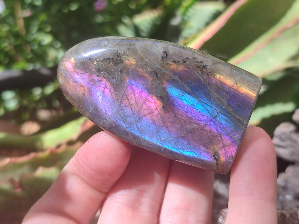 Polished Rare Purple Sunset Flash Labradorite Standing Free Forms x 12 From Madagascar - Toprock Gemstones and Minerals 