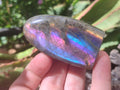 Polished Rare Purple Sunset Flash Labradorite Standing Free Forms x 12 From Madagascar - Toprock Gemstones and Minerals 