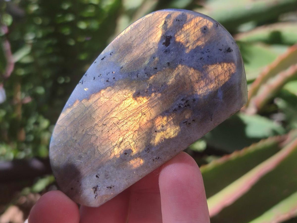 Polished Rare Purple Sunset Flash Labradorite Standing Free Forms x 12 From Madagascar - Toprock Gemstones and Minerals 
