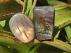 Polished Rare Purple Sunset Flash Labradorite Standing Free Forms x 12 From Madagascar - Toprock Gemstones and Minerals 