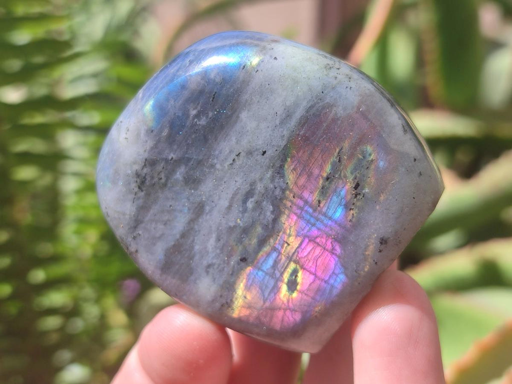 Polished Rare Purple Sunset Flash Labradorite Standing Free Forms x 12 From Madagascar - Toprock Gemstones and Minerals 