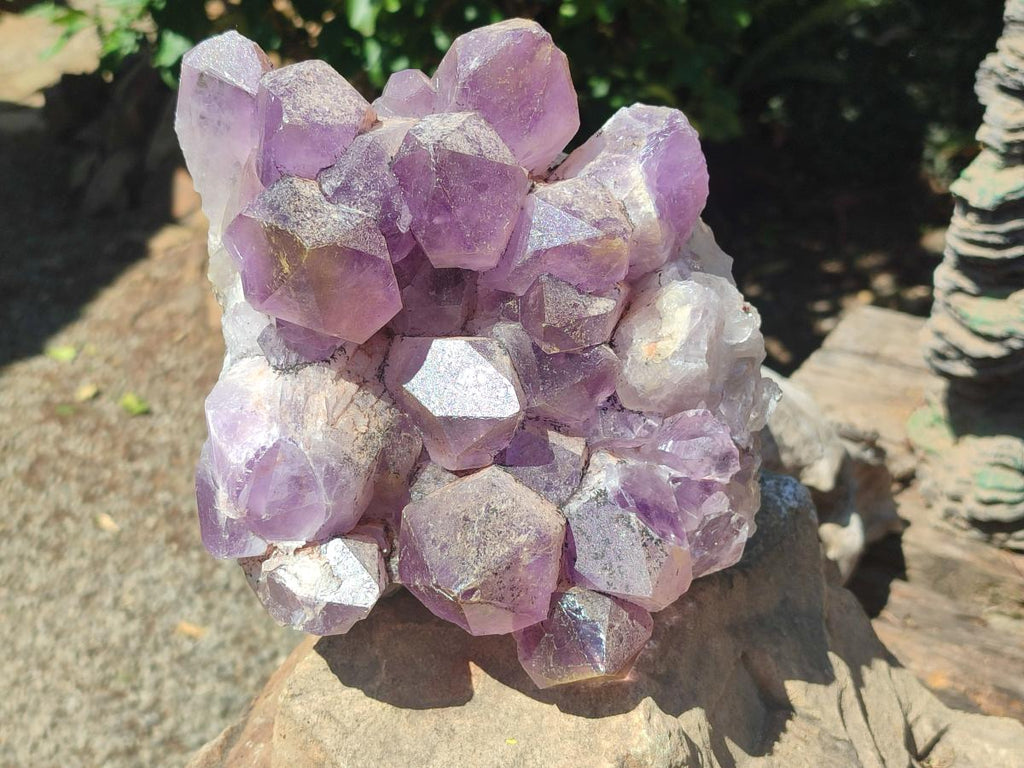 Natural Large Jacaranda Amethyst Crystal Cluster x 1 From Mumbwa, Zambia - Toprock Gemstones and Minerals 