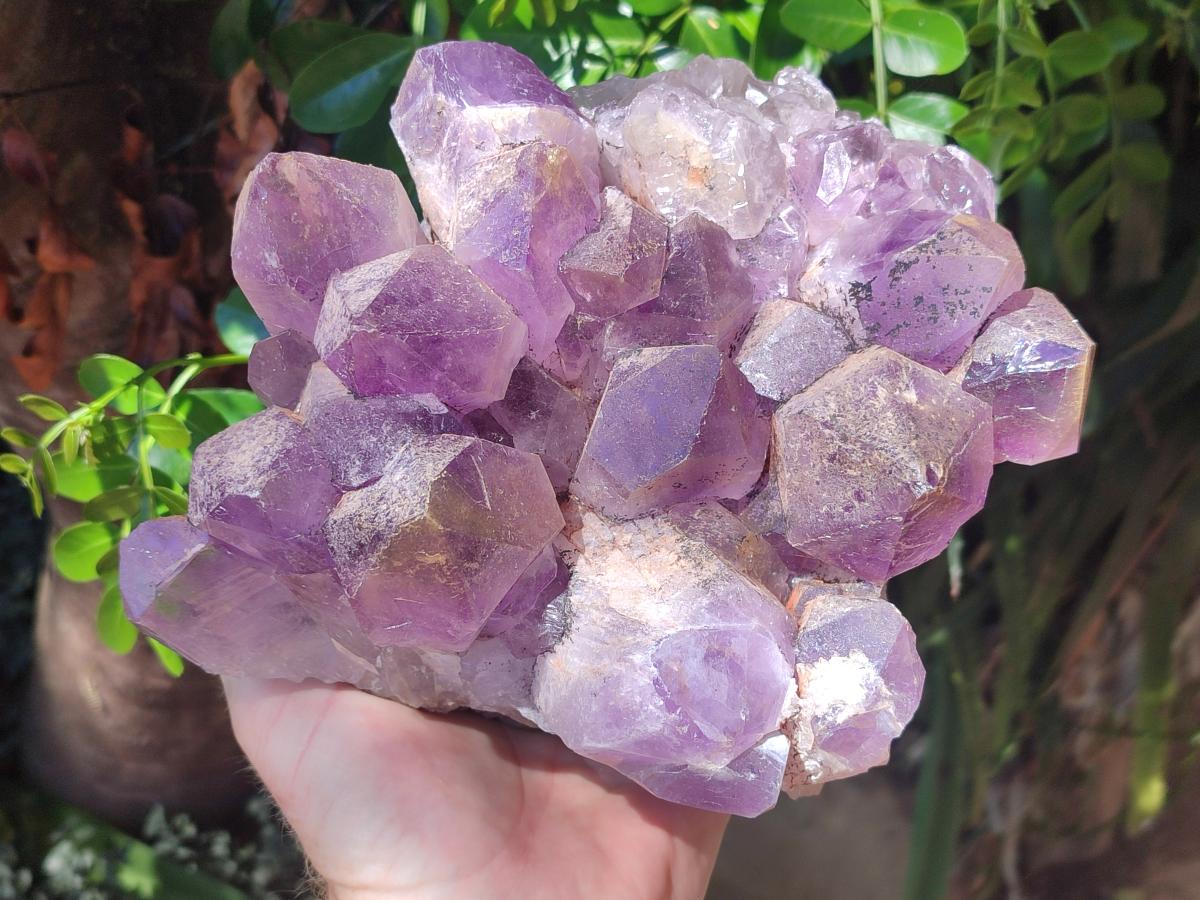 Natural Large Jacaranda Amethyst Crystal Cluster x 1 From Mumbwa, Zambia - Toprock Gemstones and Minerals 