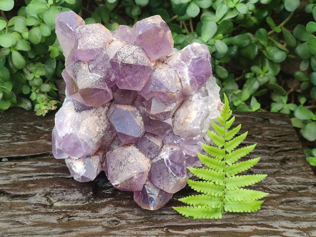 Natural Large Jacaranda Amethyst Crystal Cluster x 1 From Mumbwa, Zambia - Toprock Gemstones and Minerals 