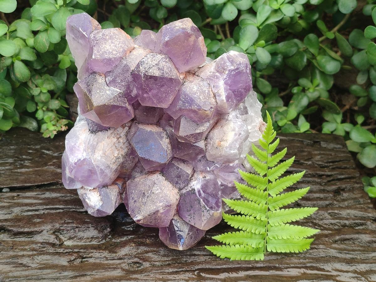 Natural Large Jacaranda Amethyst Crystal Cluster x 1 From Mumbwa, Zambia - Toprock Gemstones and Minerals 