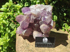 Natural Large Jacaranda Amethyst Crystal Cluster x 1 From Mumbwa, Zambia - Toprock Gemstones and Minerals 