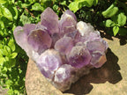Natural Large Jacaranda Amethyst Crystal Cluster x 1 From Mumbwa, Zambia - Toprock Gemstones and Minerals 