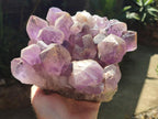 Natural Large Jacaranda Amethyst Crystal Cluster x 1 From Mumbwa, Zambia - Toprock Gemstones and Minerals 
