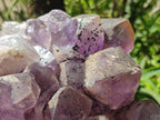 Natural Large Jacaranda Amethyst Crystal Cluster x 1 From Mumbwa, Zambia - Toprock Gemstones and Minerals 