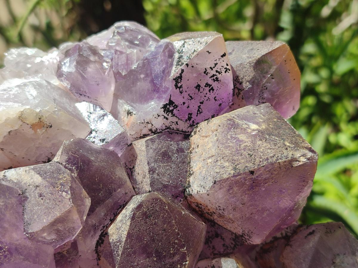 Natural Large Jacaranda Amethyst Crystal Cluster x 1 From Mumbwa, Zambia - Toprock Gemstones and Minerals 