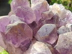 Natural Large Jacaranda Amethyst Crystal Cluster x 1 From Mumbwa, Zambia - Toprock Gemstones and Minerals 
