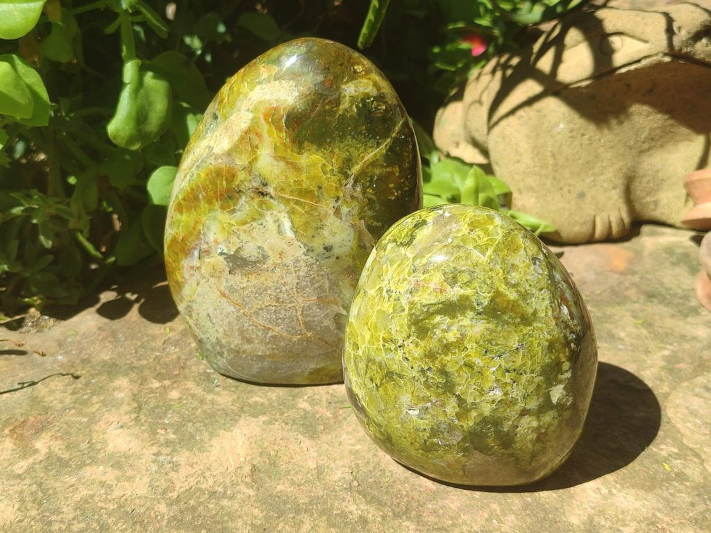 Polished Green Opal Standing Free Forms x 2 From Betroka, Madagascar - Toprock Gemstones and Minerals 