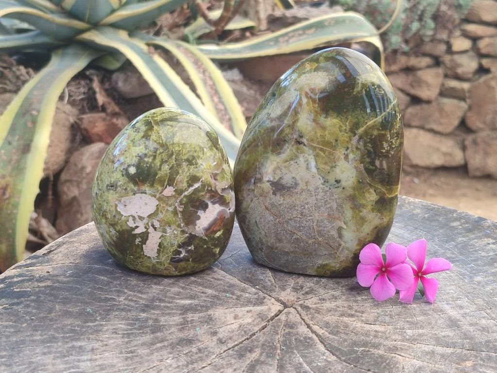 Polished Green Opal Standing Free Forms x 2 From Betroka, Madagascar - Toprock Gemstones and Minerals 