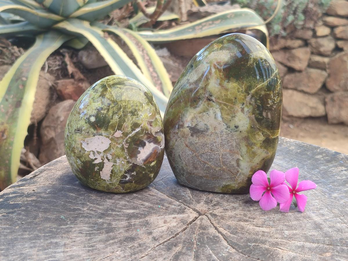 Polished Green Opal Standing Free Forms x 2 From Betroka, Madagascar - Toprock Gemstones and Minerals 