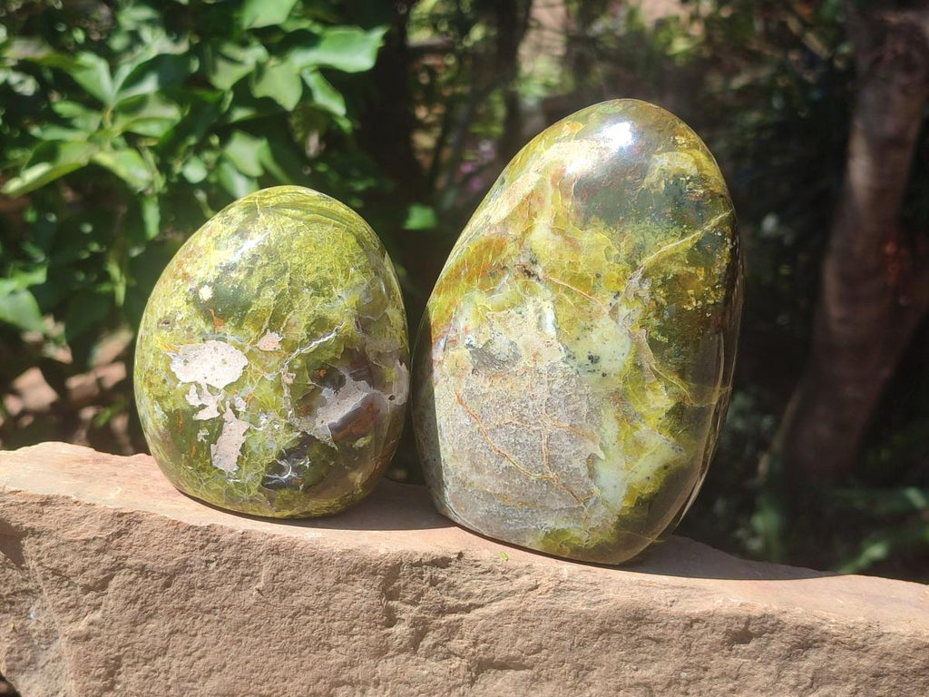 Polished Green Opal Standing Free Forms x 2 From Betroka, Madagascar - Toprock Gemstones and Minerals 