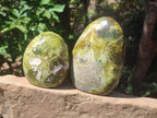 Polished Green Opal Standing Free Forms x 2 From Betroka, Madagascar - Toprock Gemstones and Minerals 