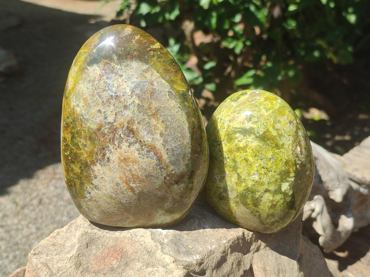 Polished Green Opal Standing Free Forms x 2 From Betroka, Madagascar - Toprock Gemstones and Minerals 