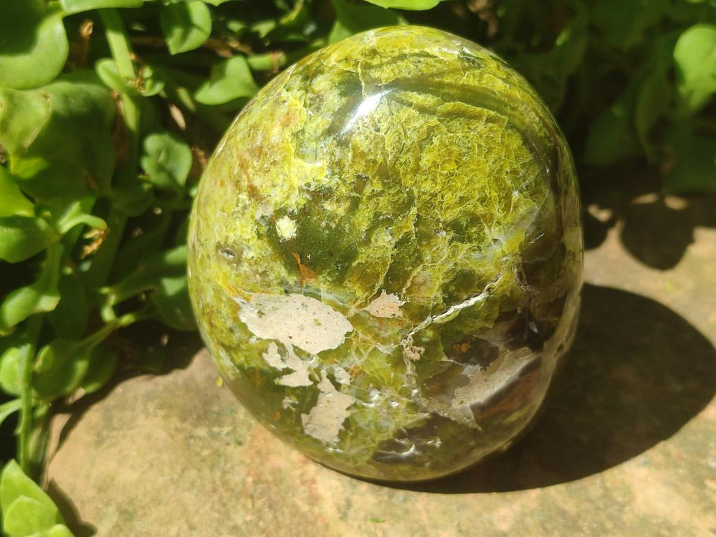 Polished Green Opal Standing Free Forms x 2 From Betroka, Madagascar - Toprock Gemstones and Minerals 