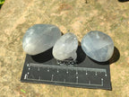 Polished Mini Blue Celestite Free Forms x 12 From Sakoany, Madagascar - Toprock Gemstones and Minerals 