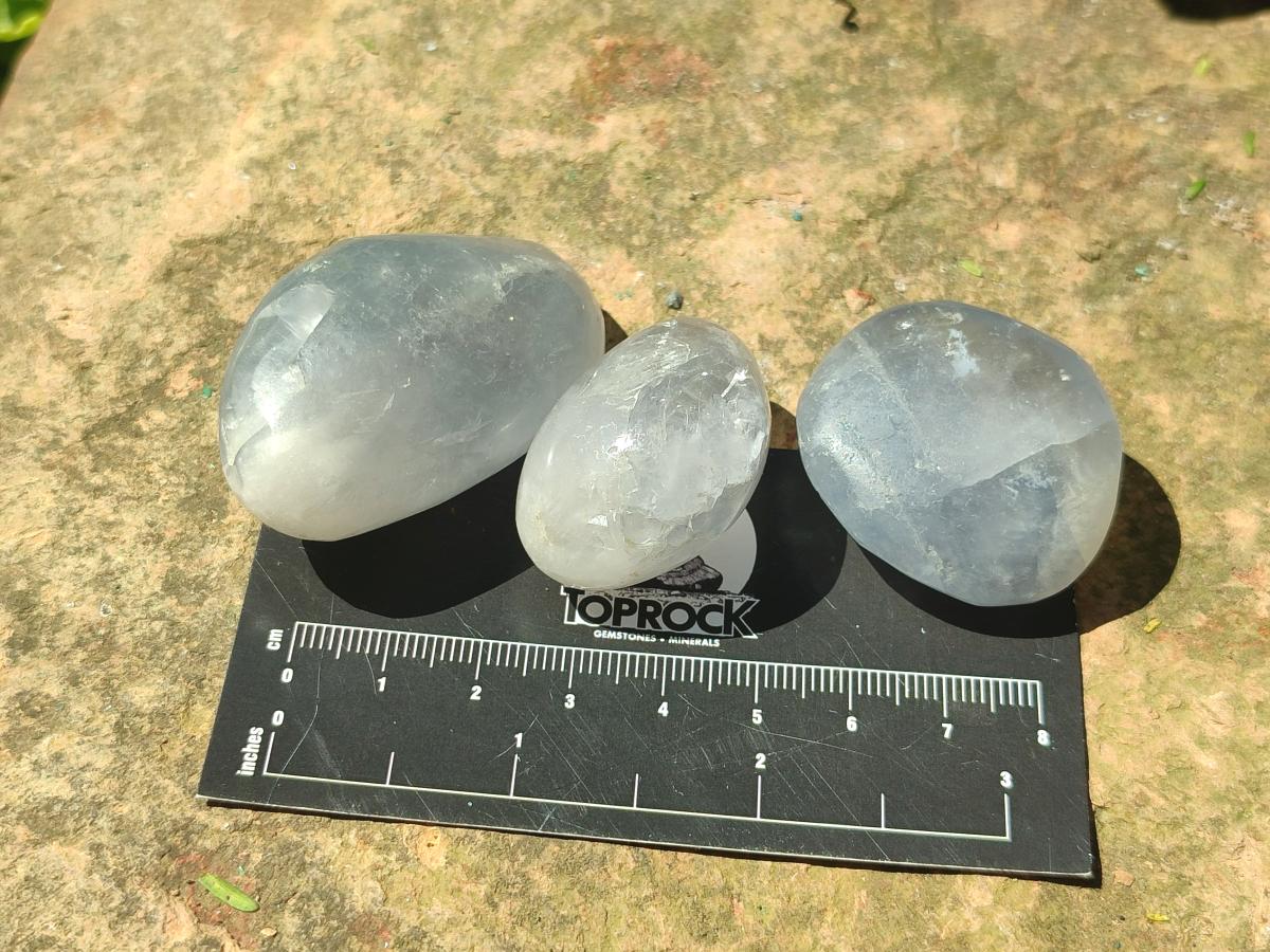 Polished Mini Blue Celestite Free Forms x 12 From Sakoany, Madagascar - Toprock Gemstones and Minerals 