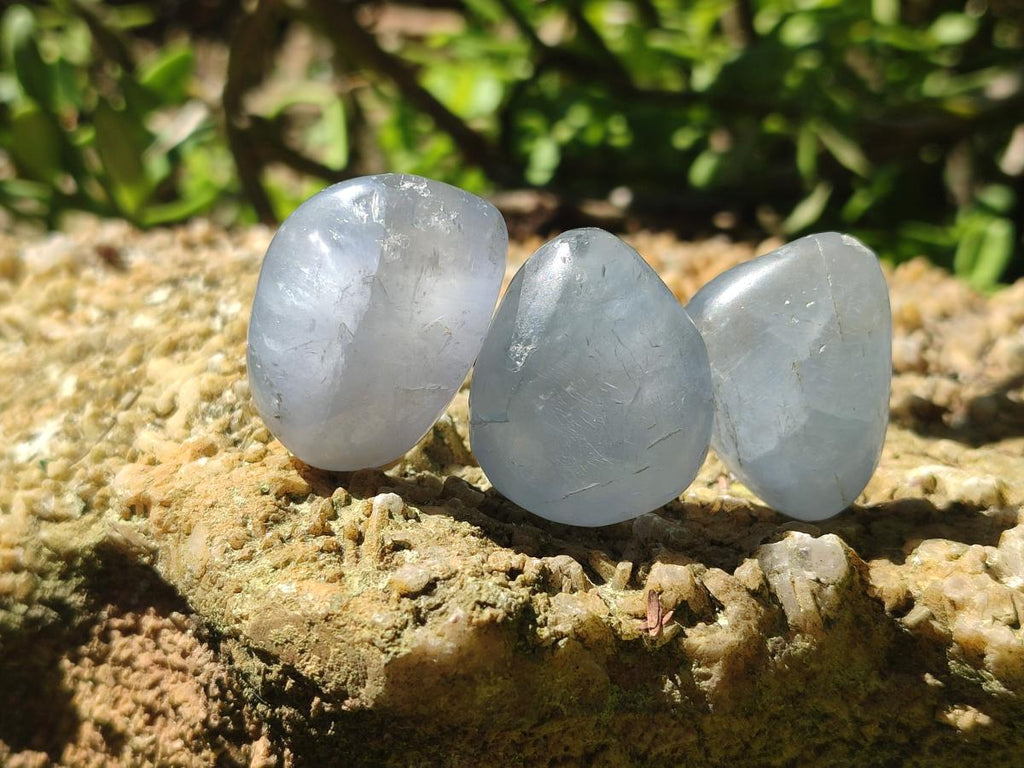 Polished Mini Blue Celestite Free Forms x 12 From Sakoany, Madagascar - Toprock Gemstones and Minerals 