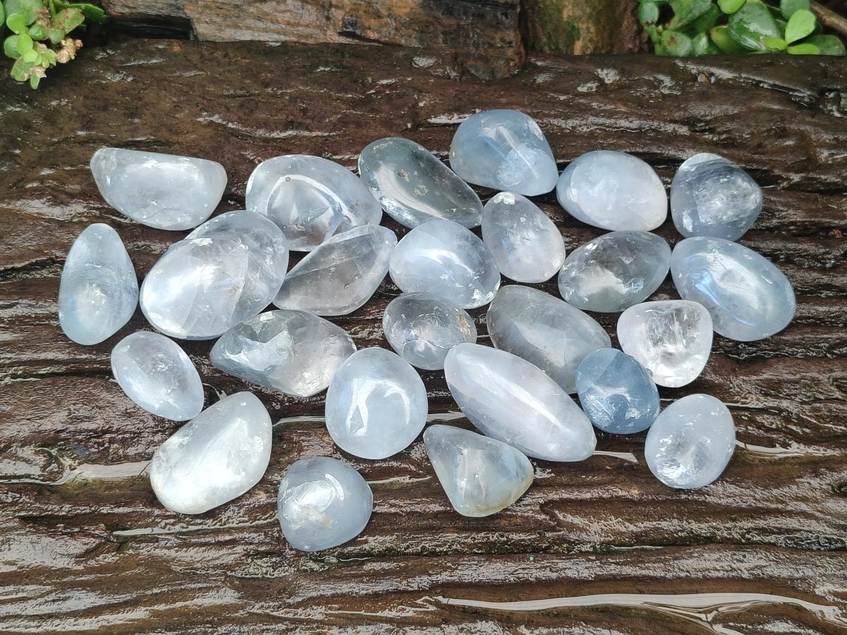 Polished Mini Blue Celestite Free Forms x 12 From Sakoany, Madagascar - Toprock Gemstones and Minerals 