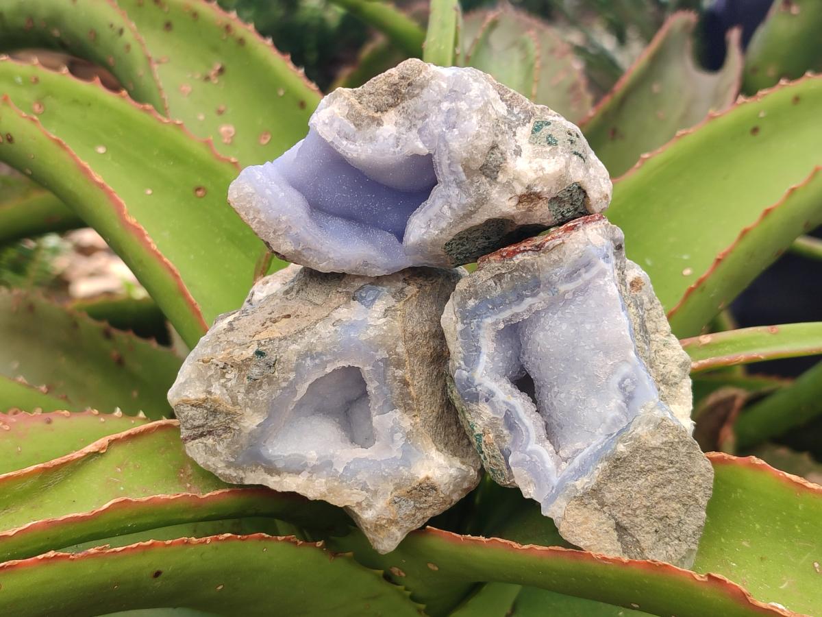 Natural Blue Lace Agate Geode and Cluster Specimens x 12 From Nsanje, Malawi - Toprock Gemstones and Minerals 