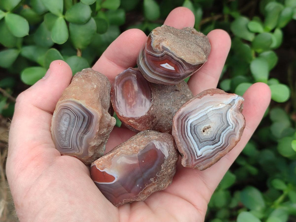 Polished One Side Red Shashe River Agate Nodules x 20 From Shashe River, Zimbabwe) - Toprock Gemstones and Minerals 