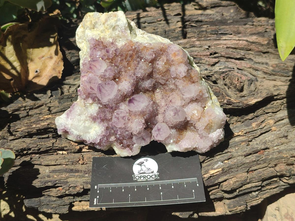 Polished And Natural Multi Mineral Pieces x 6 From Southern Africa - Toprock Gemstones and Minerals 