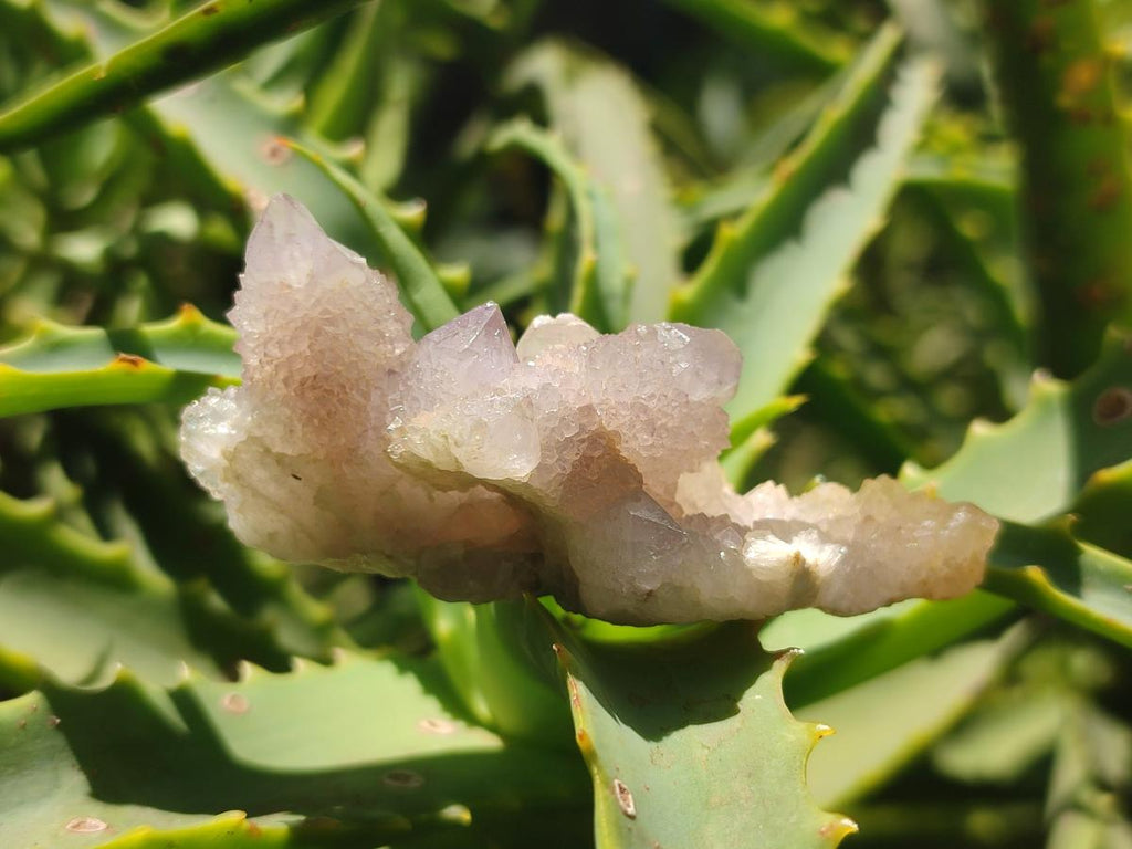 Natural White Spirit Quartz Single Crystals x 70 From Boekenhouthoek, South Africa - Toprock Gemstones and Minerals 