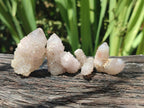 Natural White Spirit Quartz Single Crystals x 70 From Boekenhouthoek, South Africa - Toprock Gemstones and Minerals 