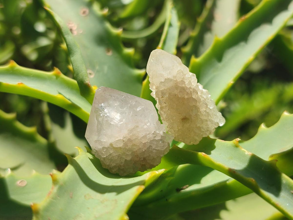 Natural White Spirit Quartz Single Crystals x 70 From Boekenhouthoek, South Africa - Toprock Gemstones and Minerals 