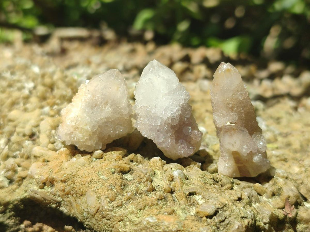 Natural White Spirit Quartz Single Crystals x 70 From Boekenhouthoek, South Africa - Toprock Gemstones and Minerals 