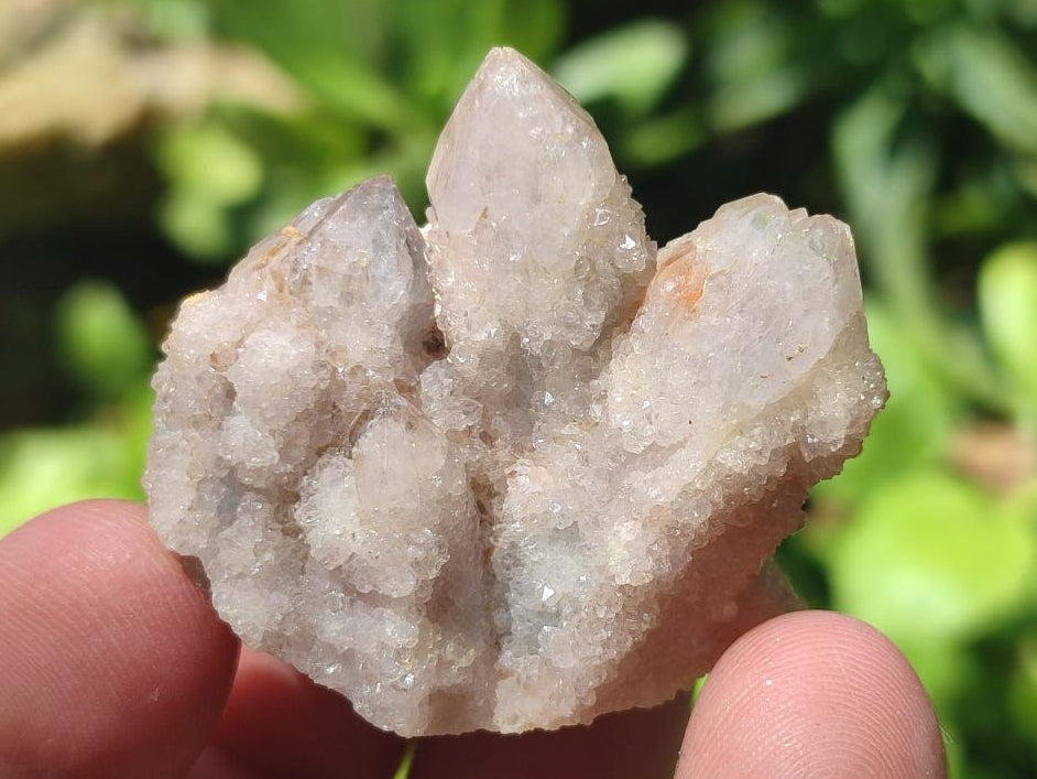 Natural White Spirit Quartz Single Crystals x 70 From Boekenhouthoek, South Africa - Toprock Gemstones and Minerals 