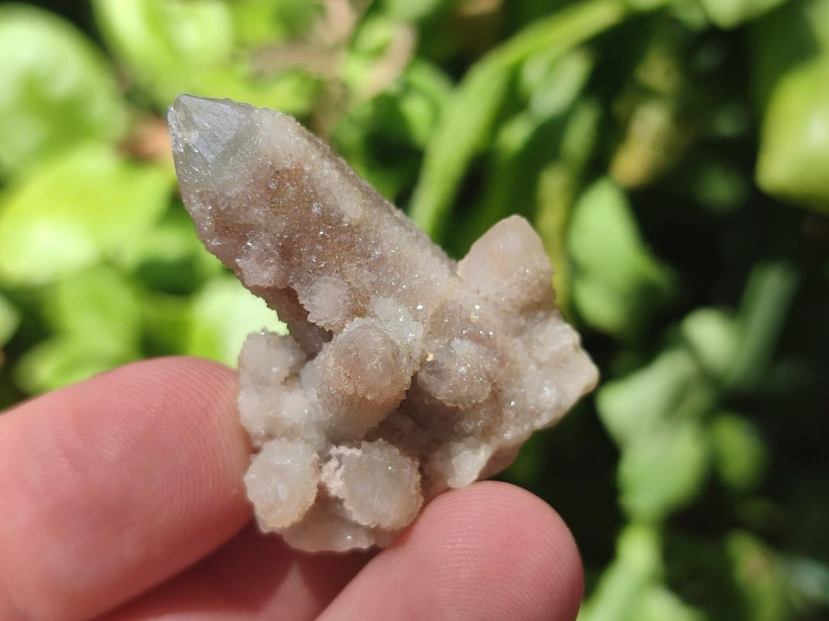 Natural White Spirit Quartz Single Crystals x 70 From Boekenhouthoek, South Africa - Toprock Gemstones and Minerals 