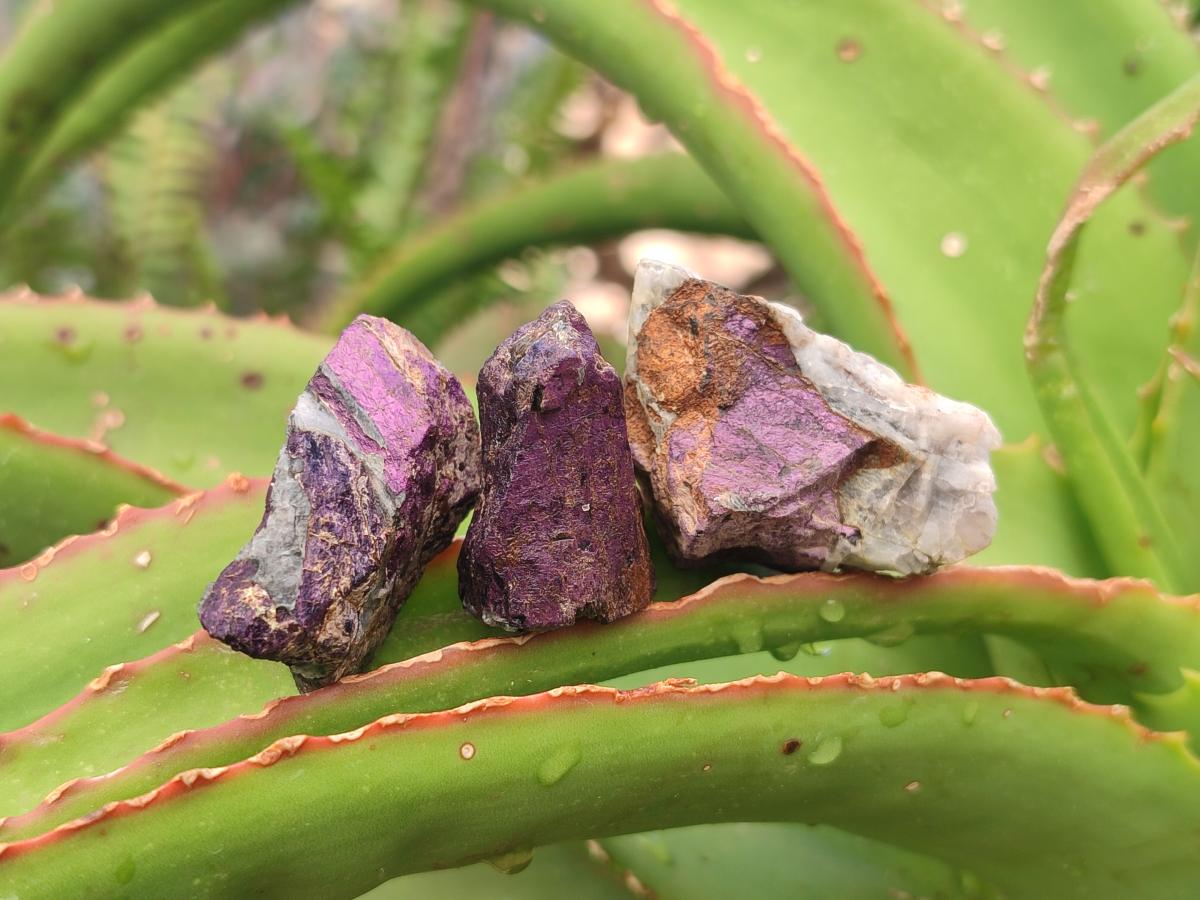 Natural Metallic Cobbed Purpurite Specimens x 70 From Erongo, Namibia - Toprock Gemstones and Minerals 