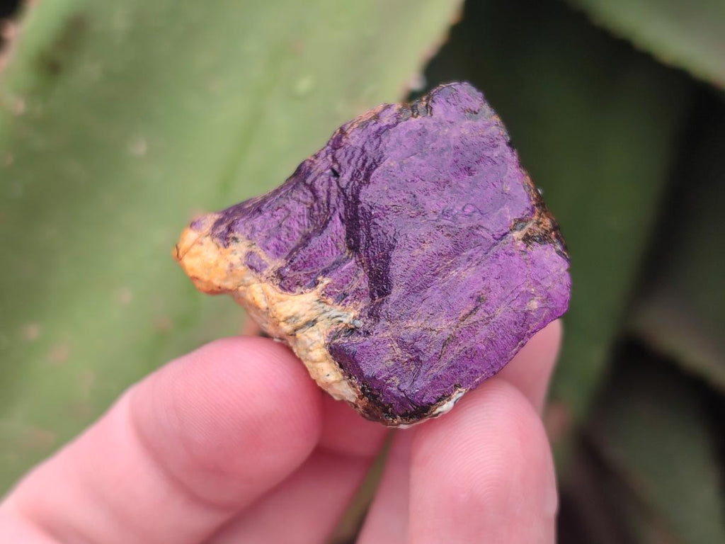 Natural Metallic Cobbed Purpurite Specimens x 70 From Erongo, Namibia - Toprock Gemstones and Minerals 