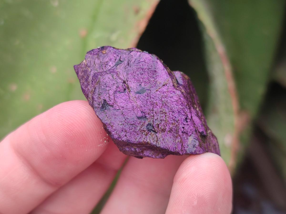 Natural Metallic Cobbed Purpurite Specimens x 70 From Erongo, Namibia - Toprock Gemstones and Minerals 