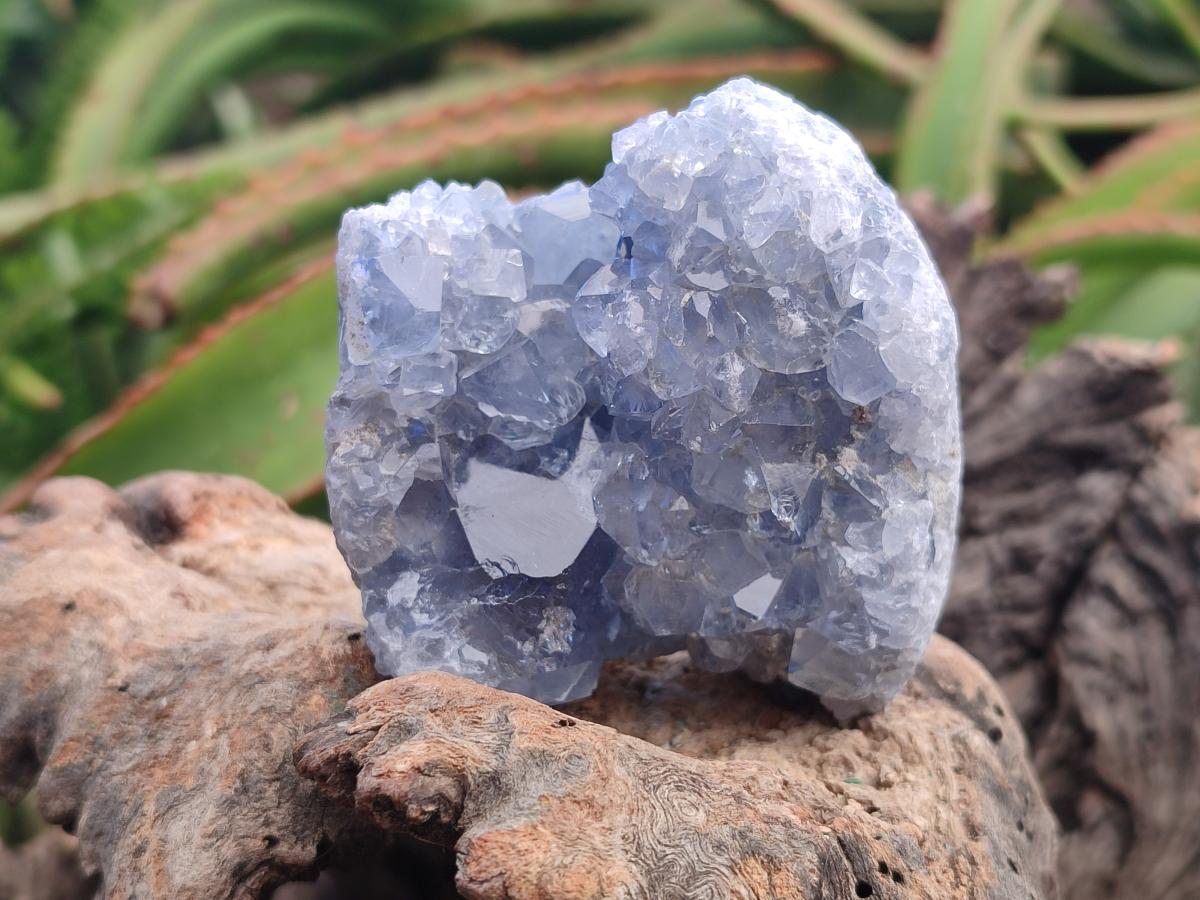 Natural Blue Celestite Cluster Specimens x 4 From Sakoany, Madagascar - Toprock Gemstones and Minerals 