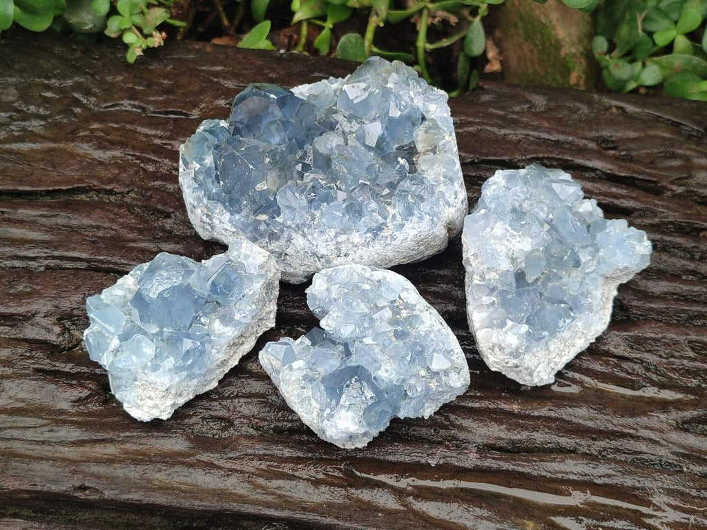 Natural Blue Celestite Cluster Specimens x 4 From Sakoany, Madagascar - Toprock Gemstones and Minerals 