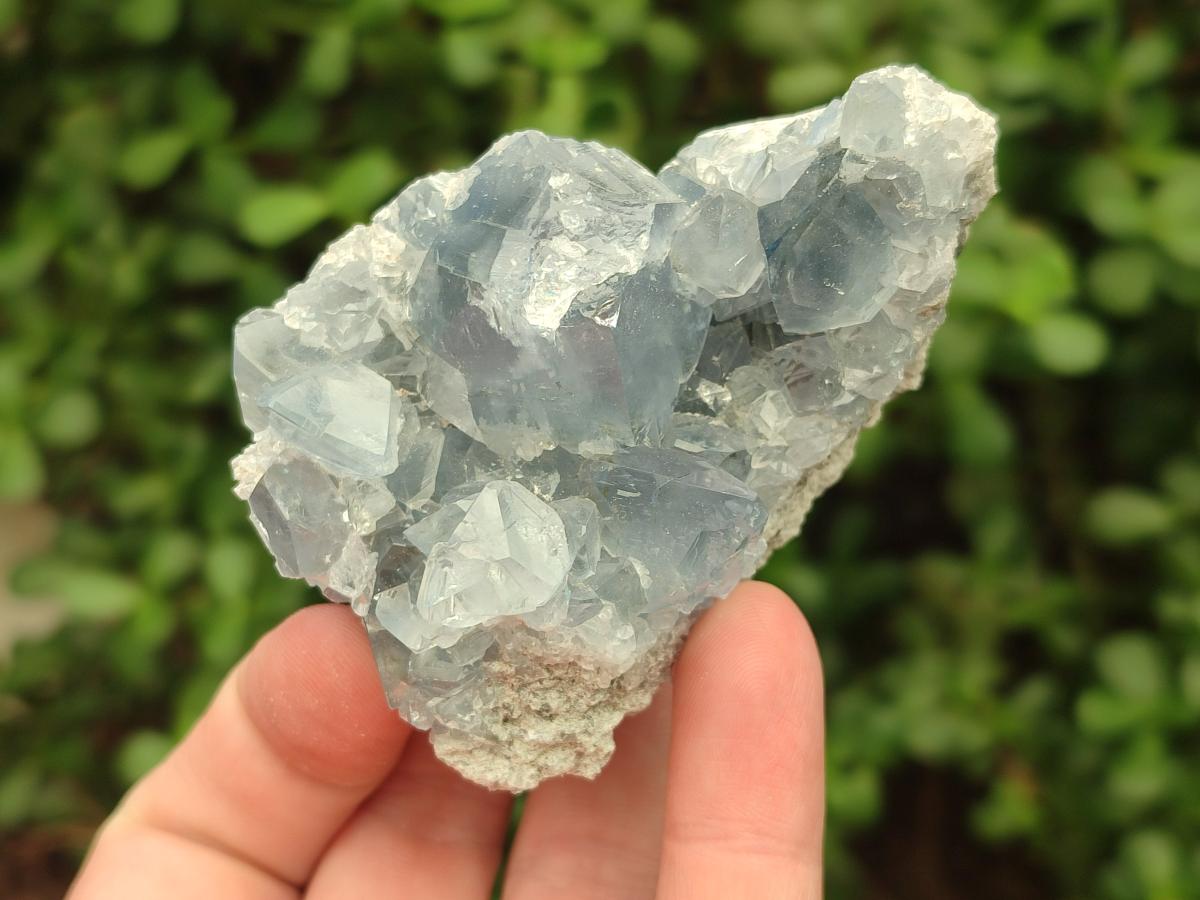 Natural Blue Celestite Cluster Specimens x 4 From Sakoany, Madagascar - Toprock Gemstones and Minerals 