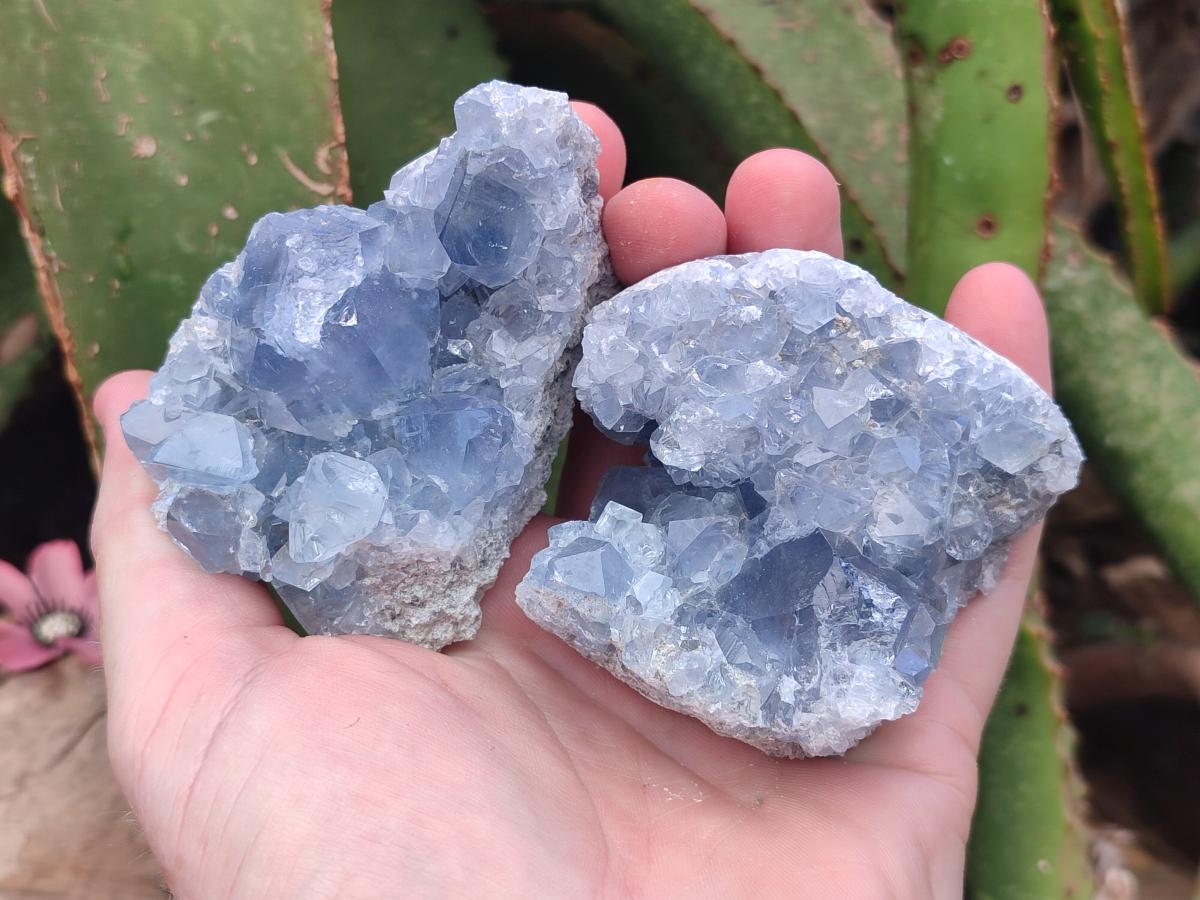 Natural Blue Celestite Cluster Specimens x 4 From Sakoany, Madagascar - Toprock Gemstones and Minerals 
