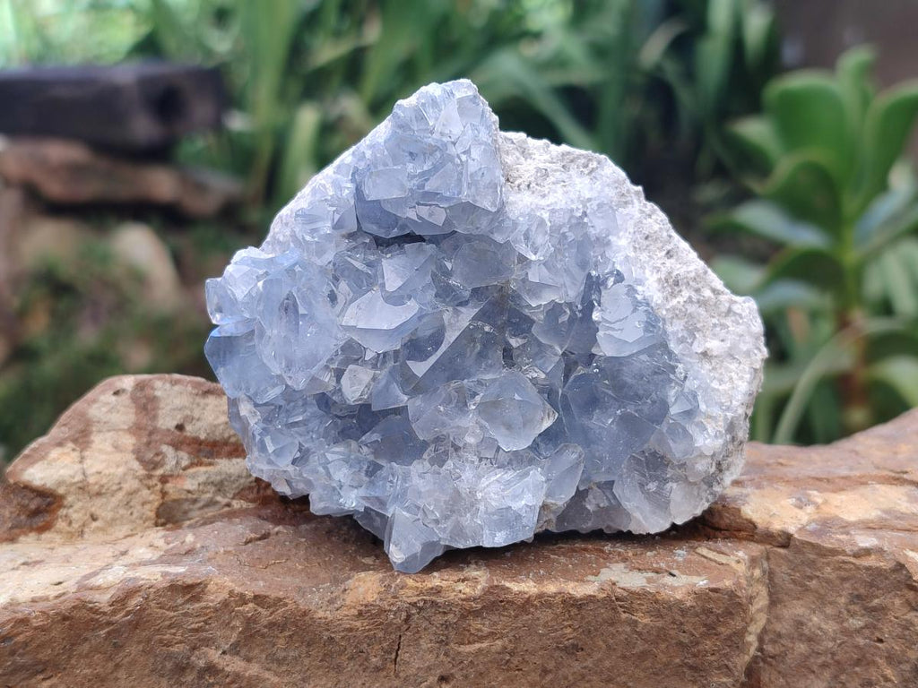 Natural Blue Celestite Cluster Specimens x 4 From Sakoany, Madagascar - Toprock Gemstones and Minerals 