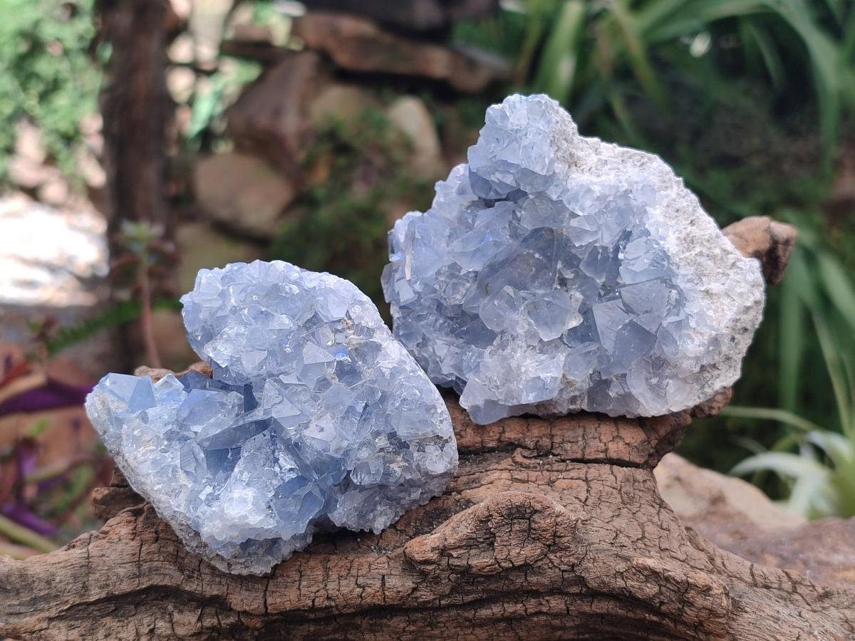 Natural Blue Celestite Cluster Specimens x 4 From Sakoany, Madagascar - Toprock Gemstones and Minerals 